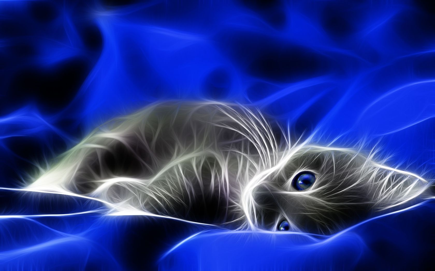 3D Cat Wallpapers