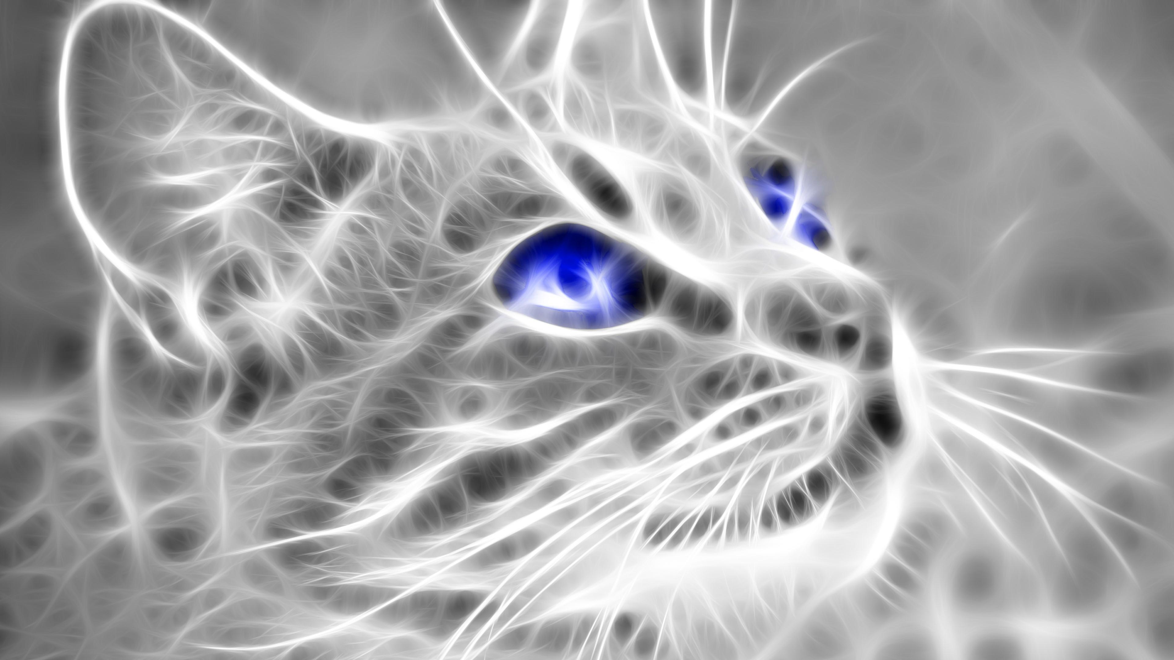 3D Cat Wallpapers