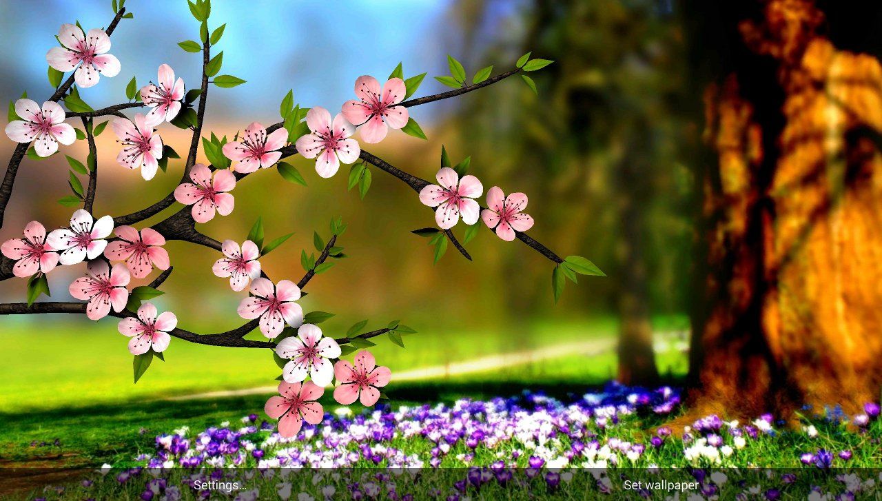 3D Flower Live Wallpapers