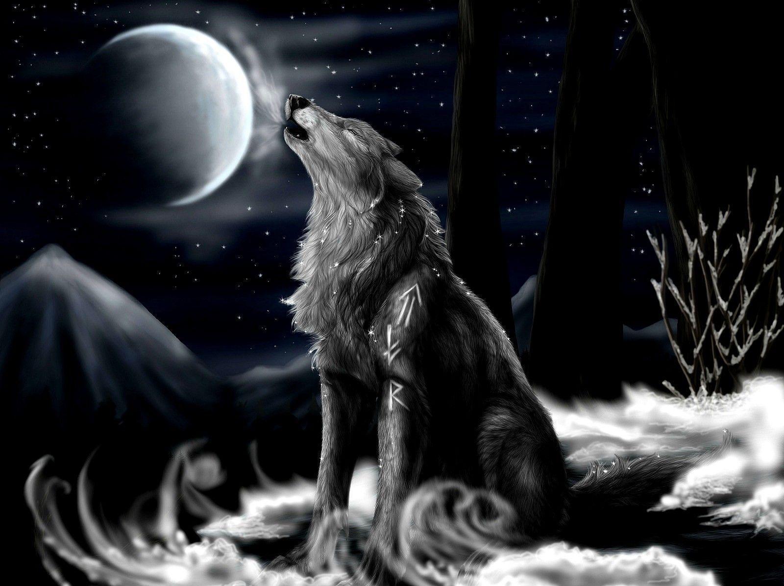 3D Wolf Wallpapers