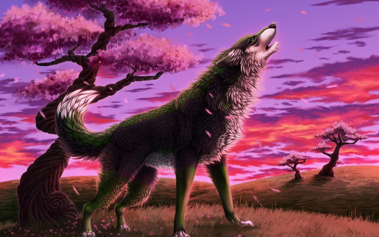 3D Wolf Wallpapers