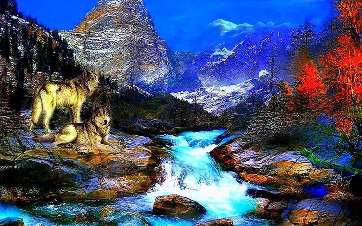 3D Wolf Wallpapers