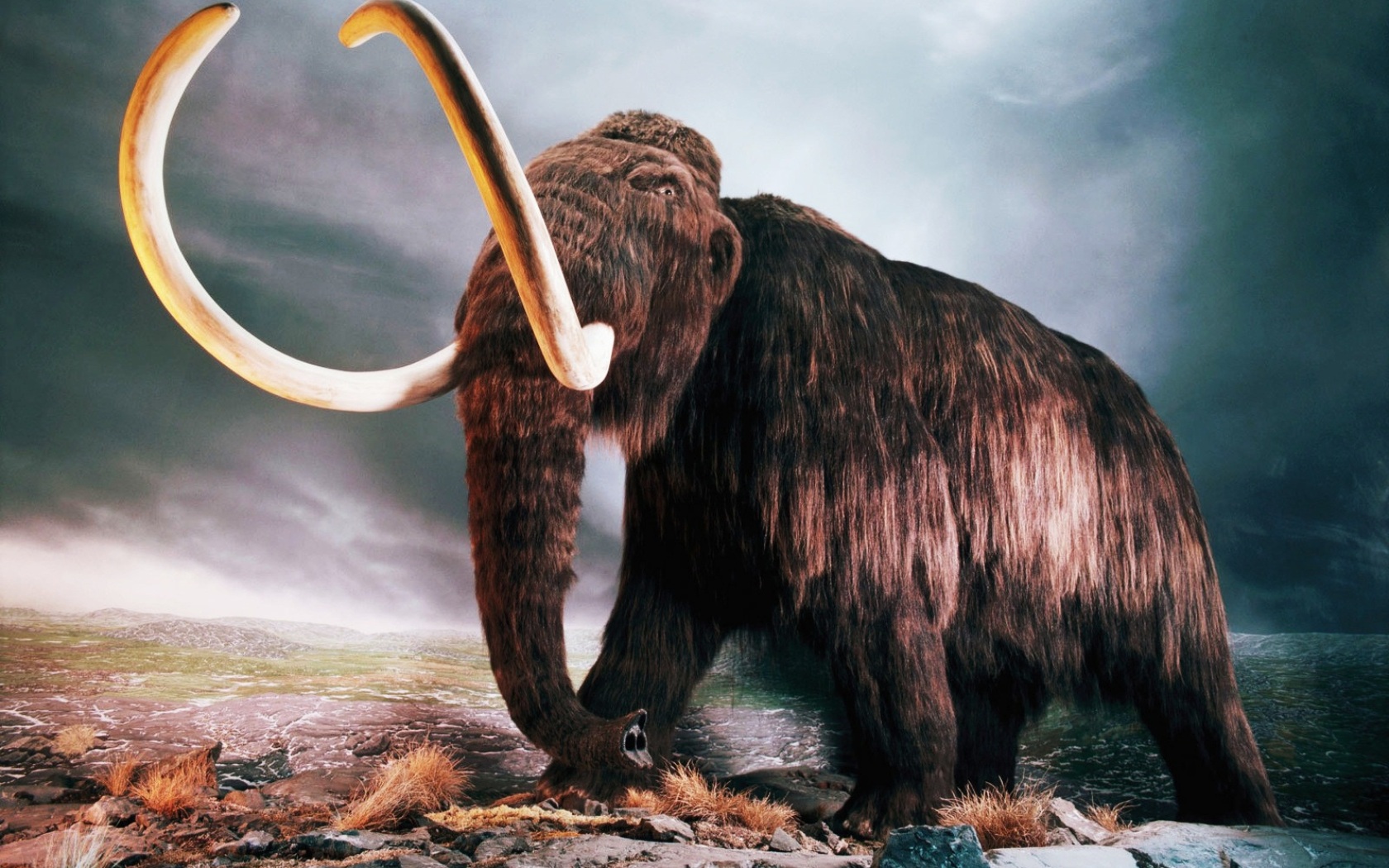 4K Cute Baby Mammoth Wallpapers