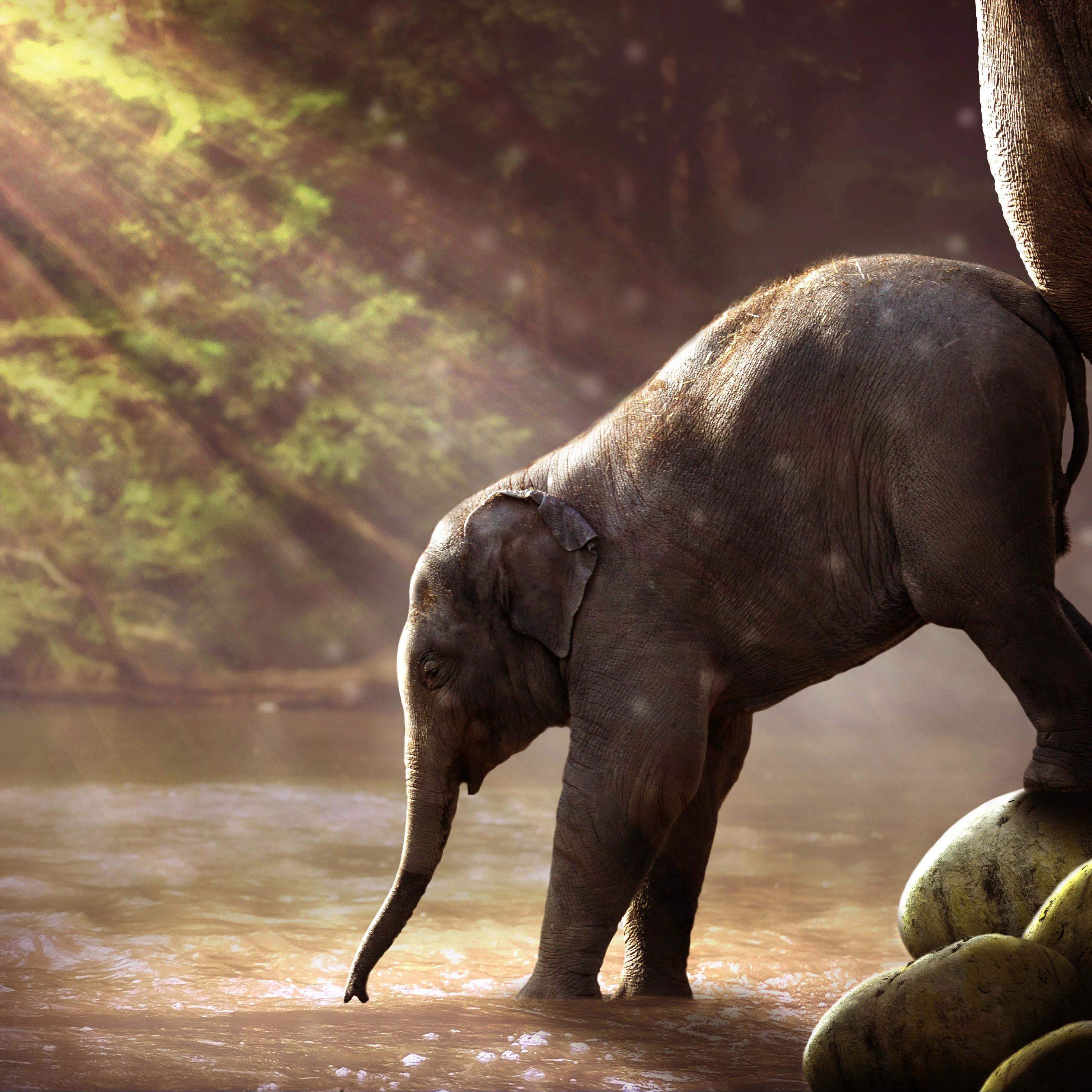 4K Cute Baby Mammoth Wallpapers