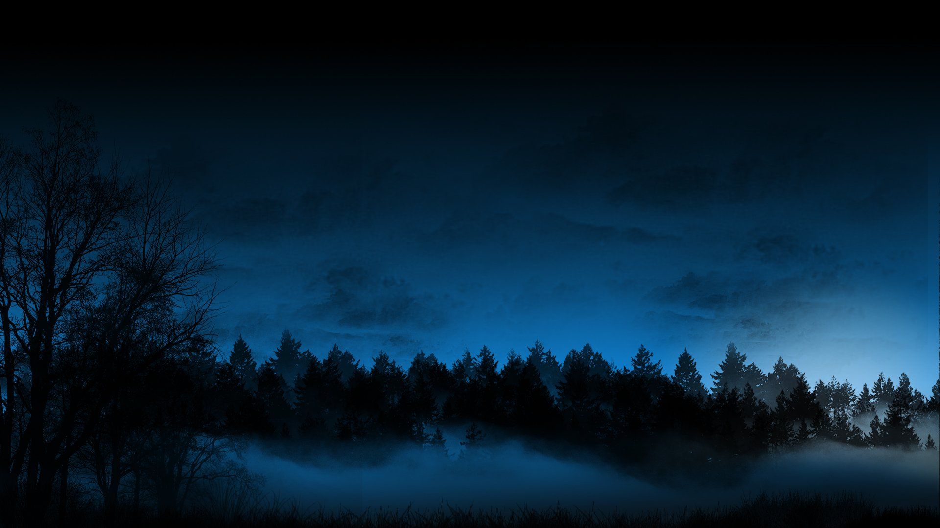 A Forest Night 4K Wallpapers