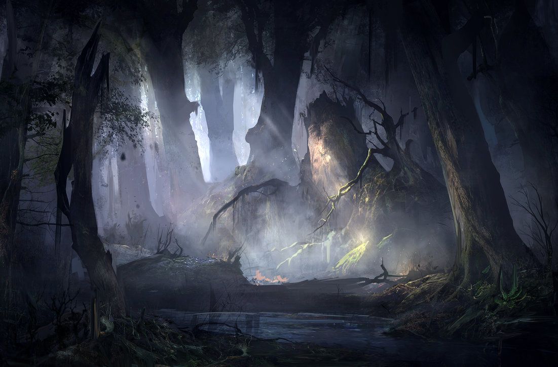 A Mysterious Forest Art Wallpapers