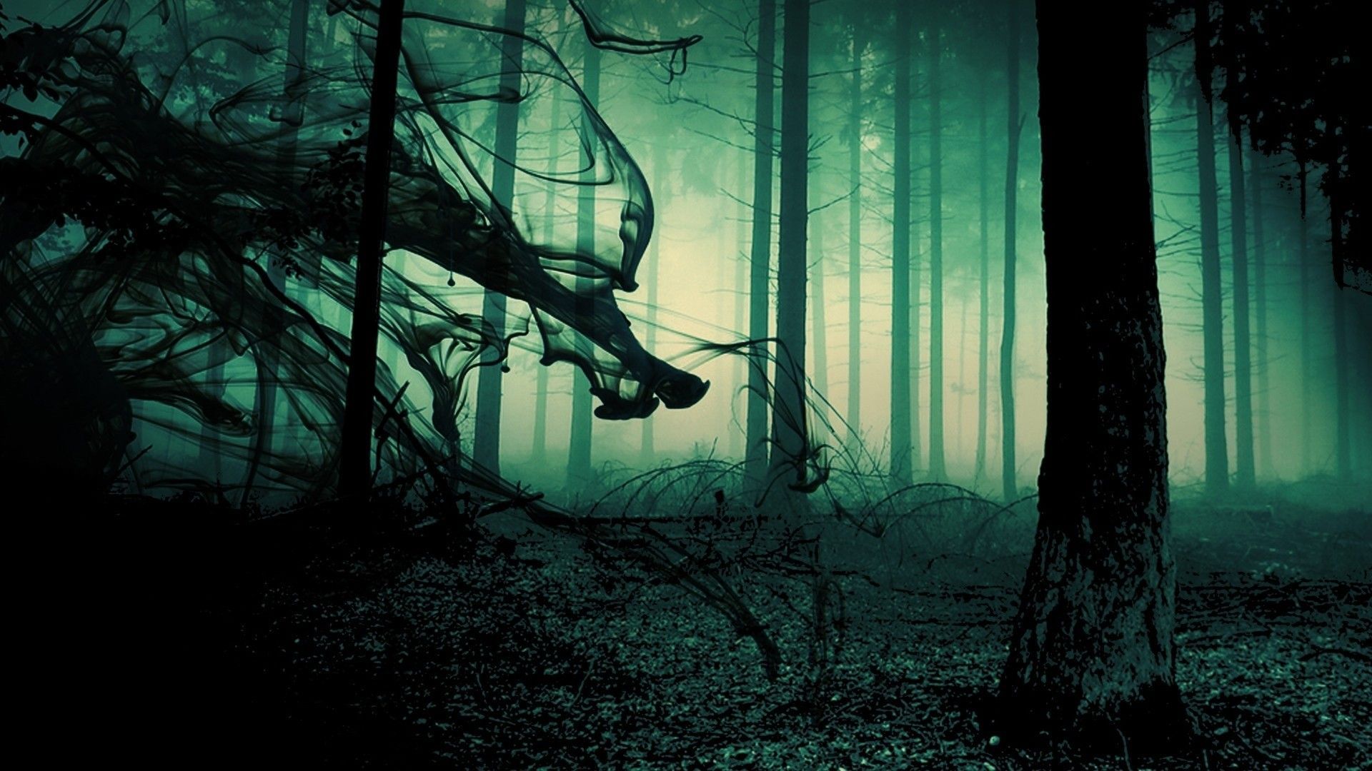 A Mysterious Forest Art Wallpapers