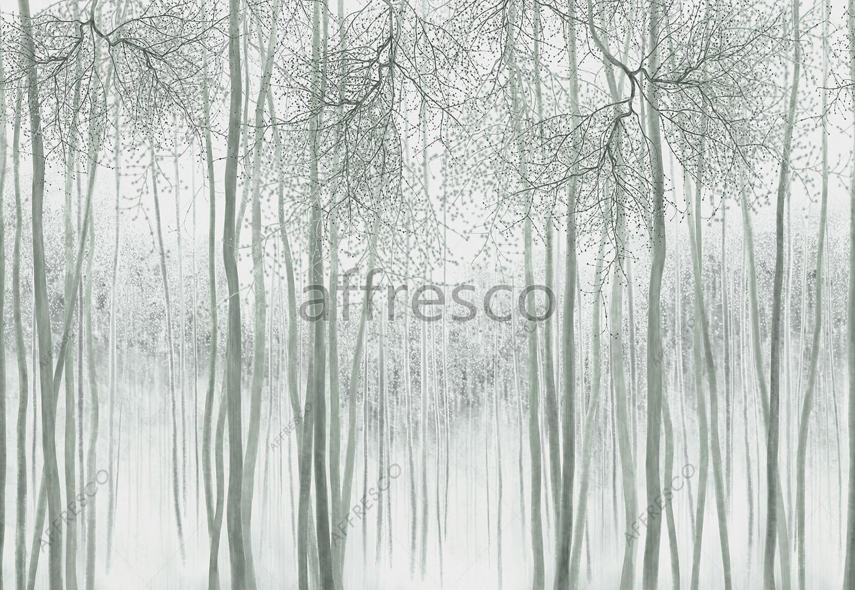 A Mysterious Forest Art Wallpapers