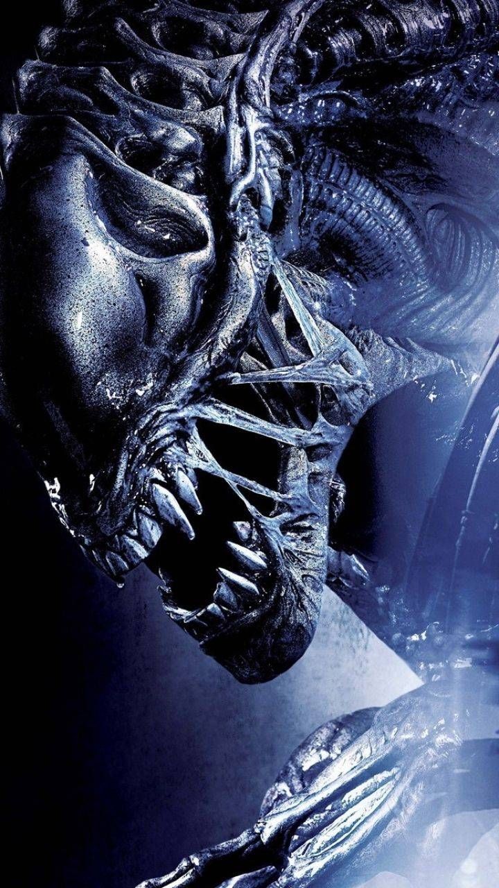 Alien Movie Xenomorph Artwork Wallpapers