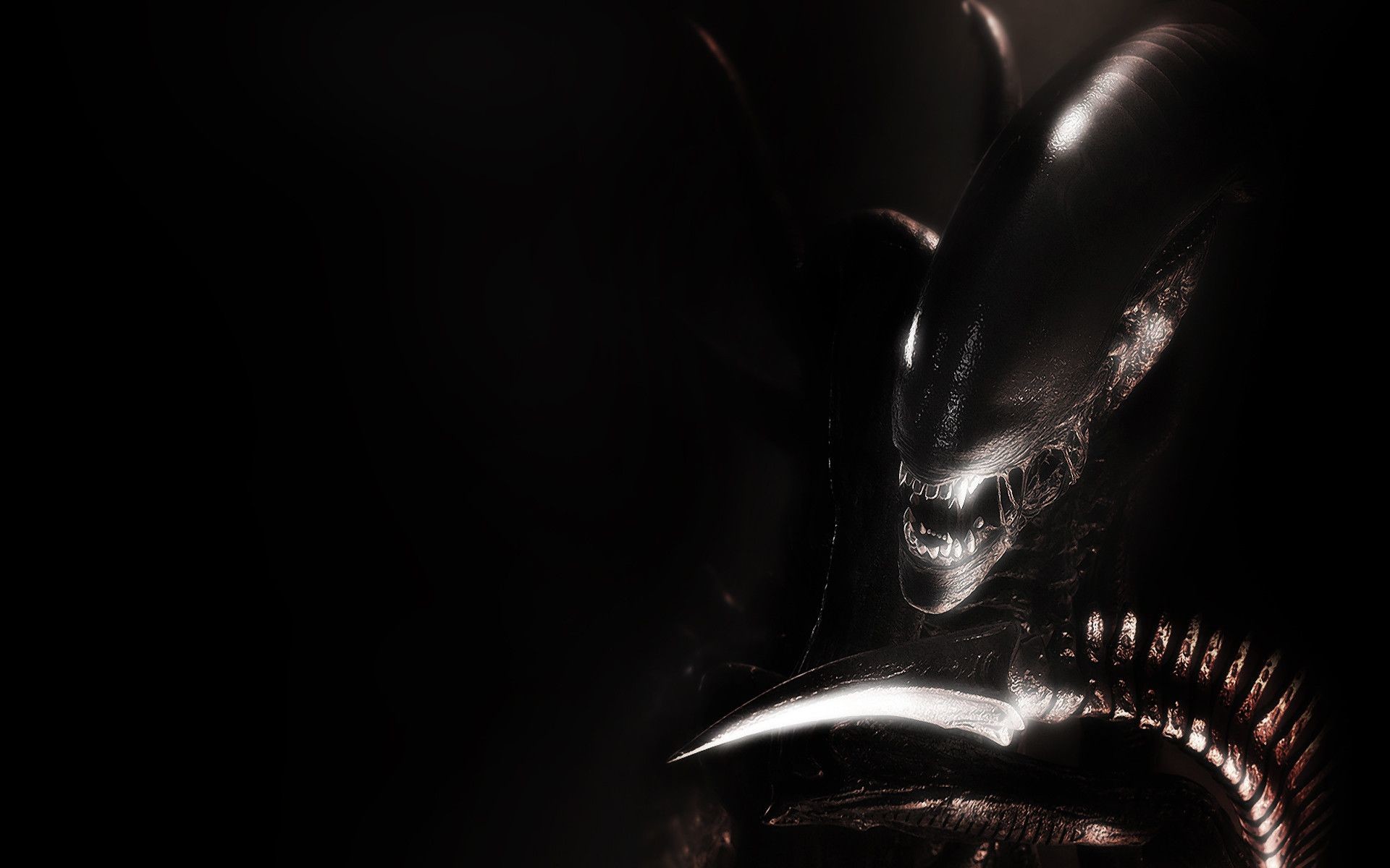 Alien Movie Xenomorph Artwork Wallpapers