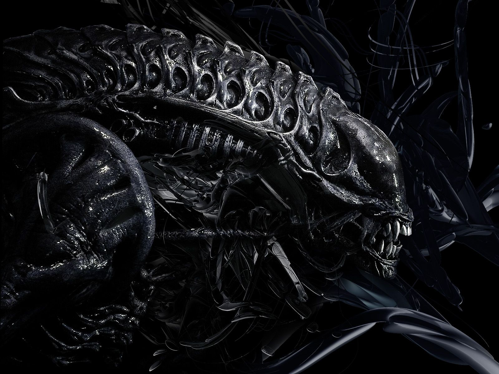 Alien Movie Xenomorph Artwork Wallpapers