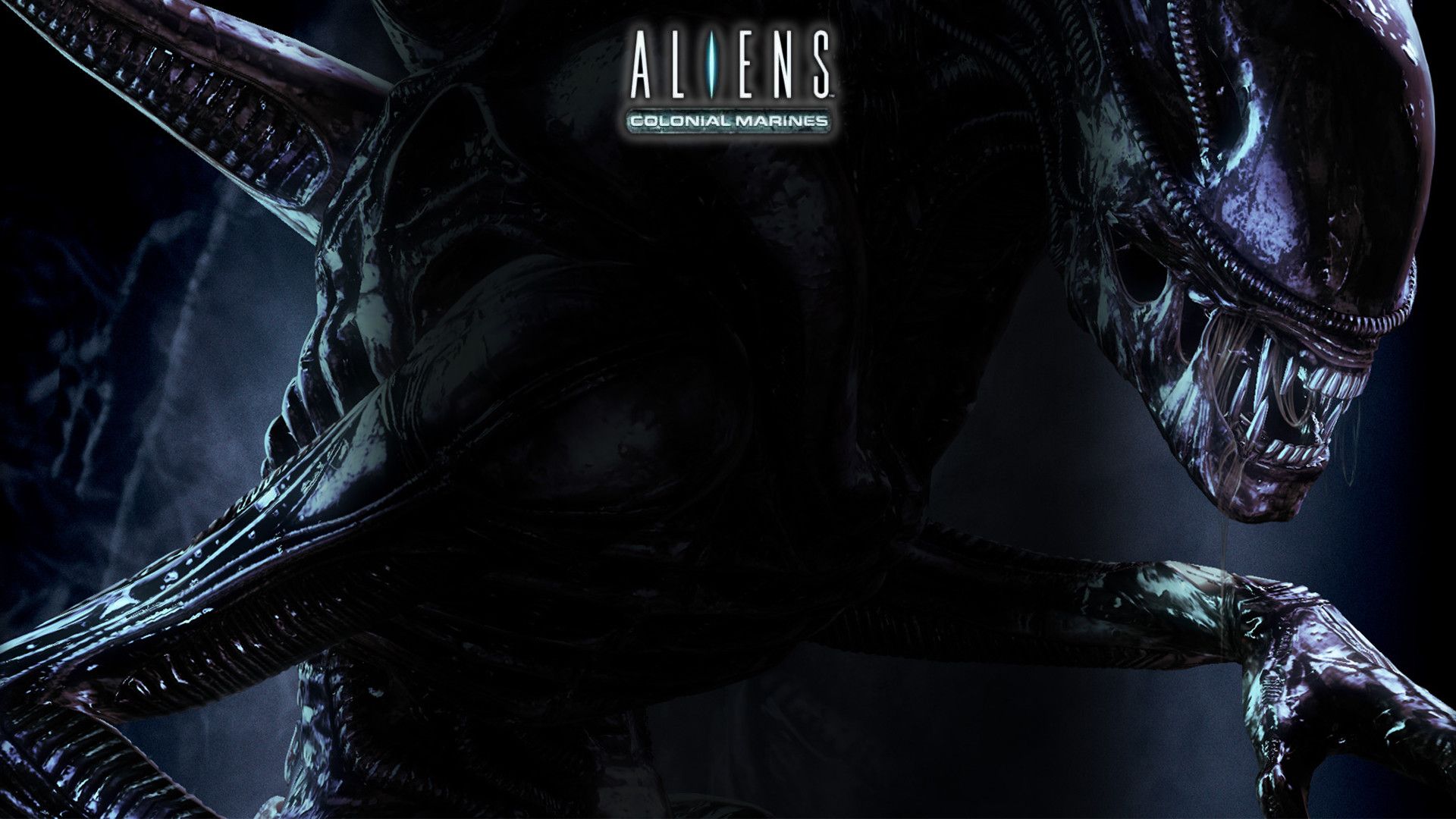 Alien Movie Xenomorph Artwork Wallpapers