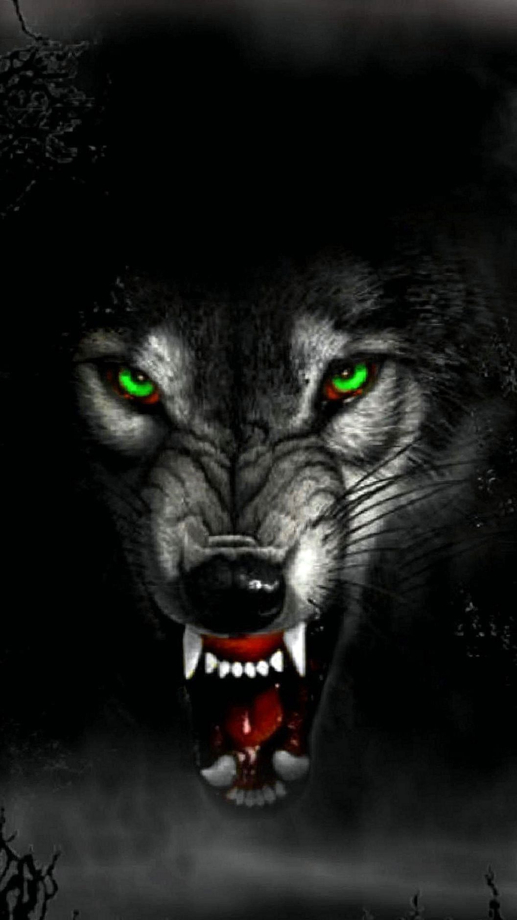 Angry Wolf Wallpapers