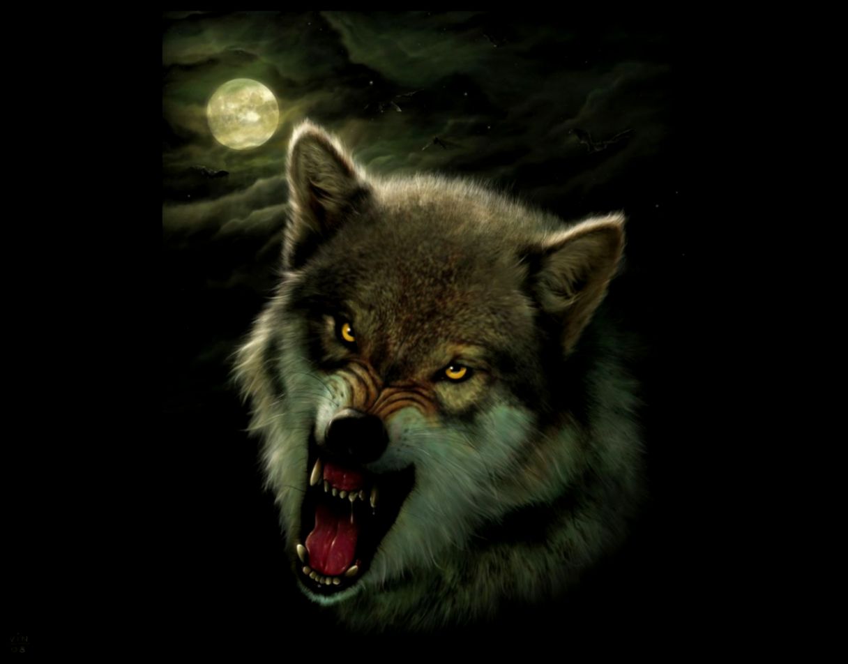 Angry Wolf Wallpapers