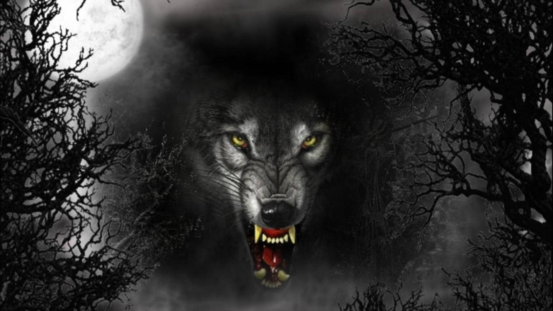 Angry Wolf Wallpapers