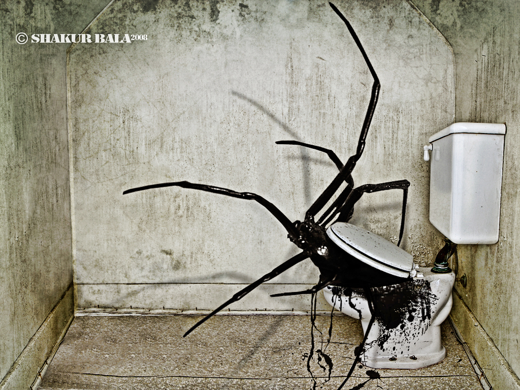 Arachnophobia Dark Movie Hd Art Wallpapers