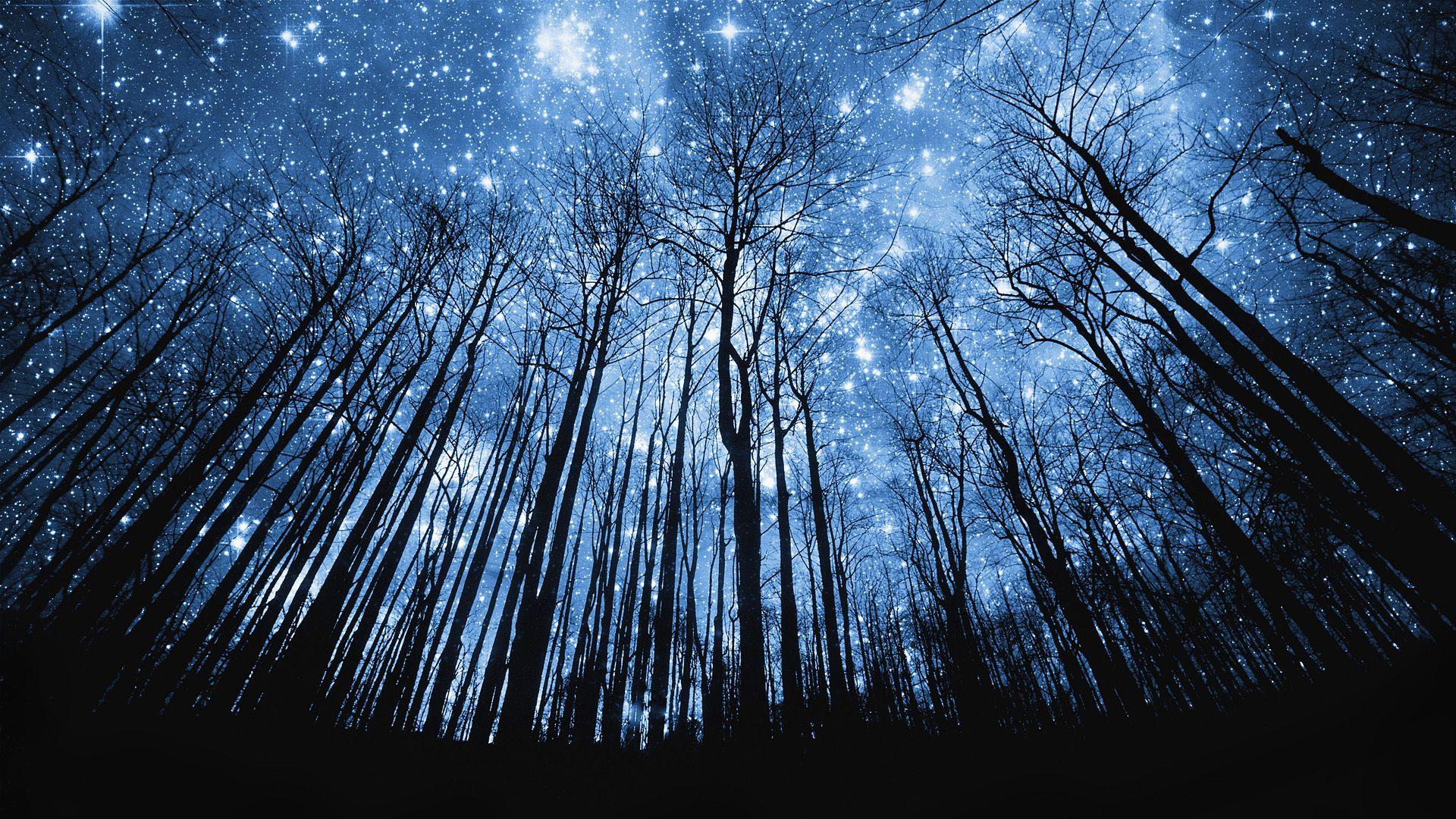 Artistic Starry Cool Landscape Wallpapers