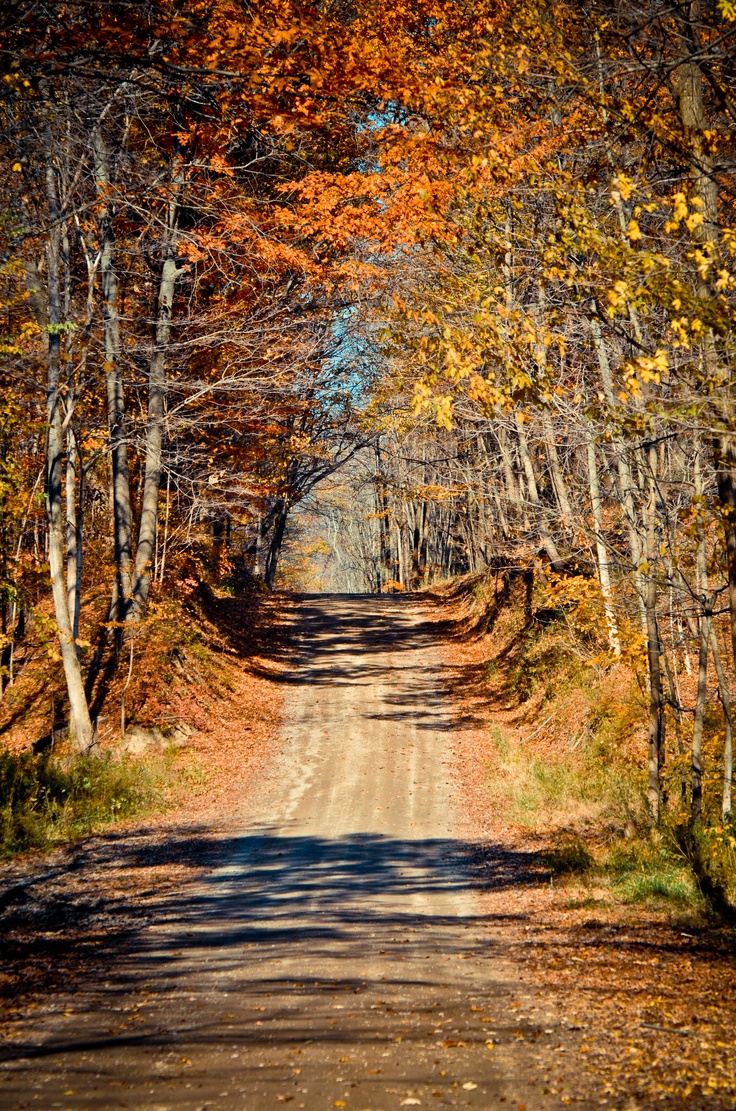 Autumn Fall Countryside Biker Wallpapers