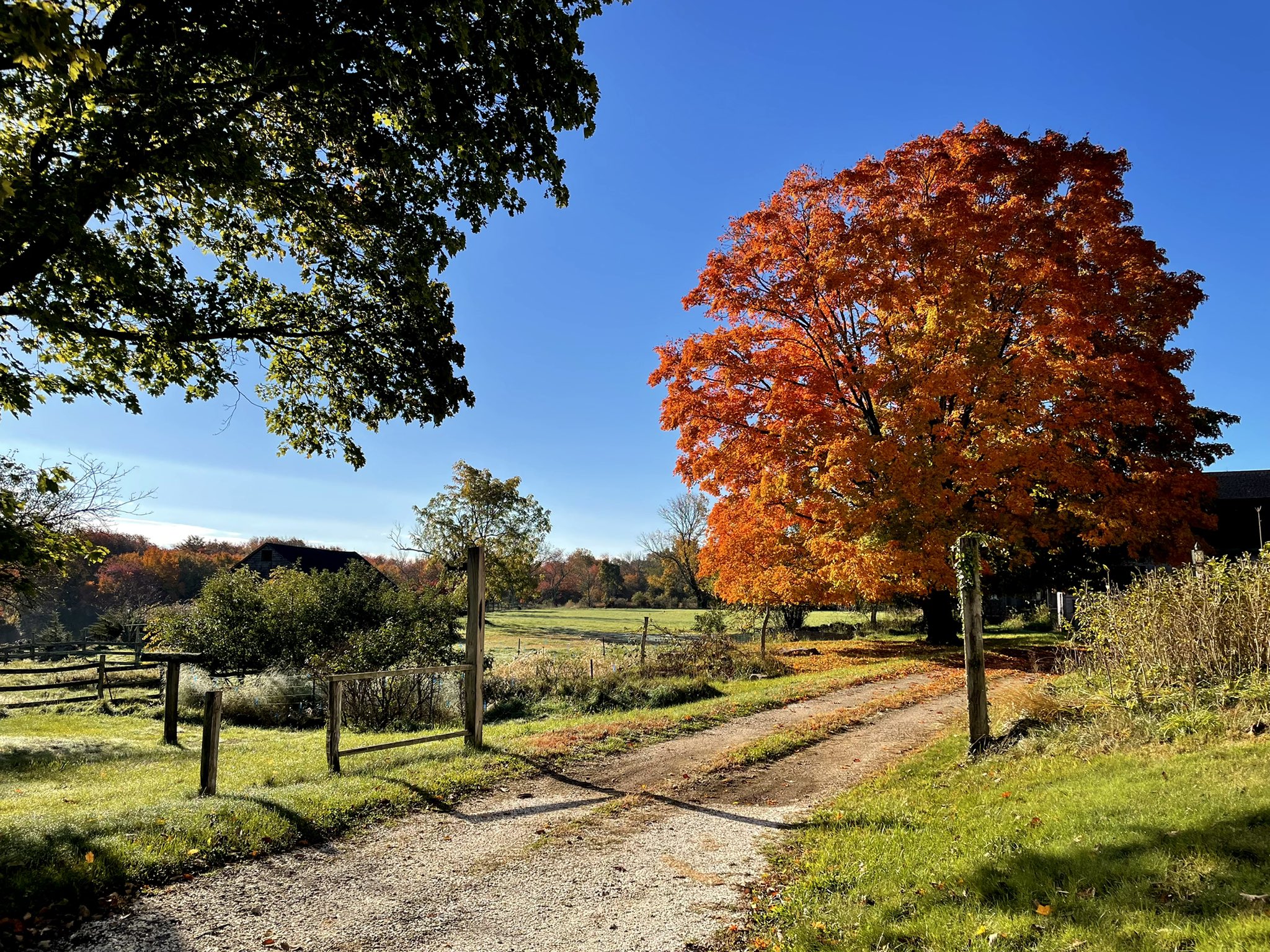 Autumn Fall Countryside Biker Wallpapers