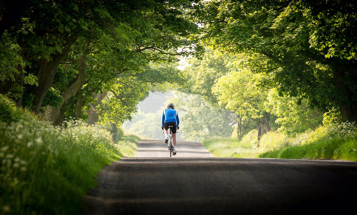 Bicycle Alone Ride Hd Landscape Wallpapers