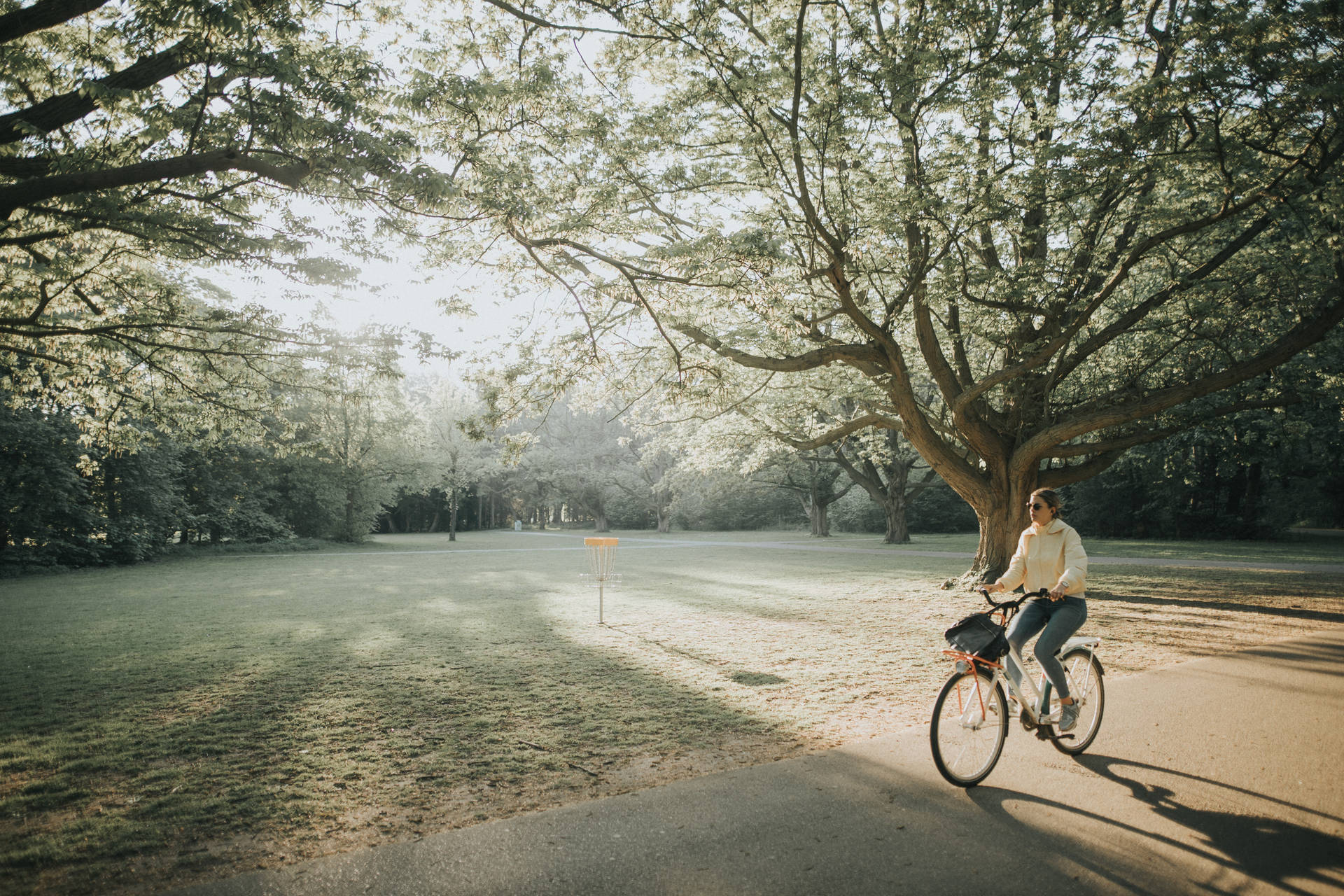 Bicycle Alone Ride Hd Landscape Wallpapers