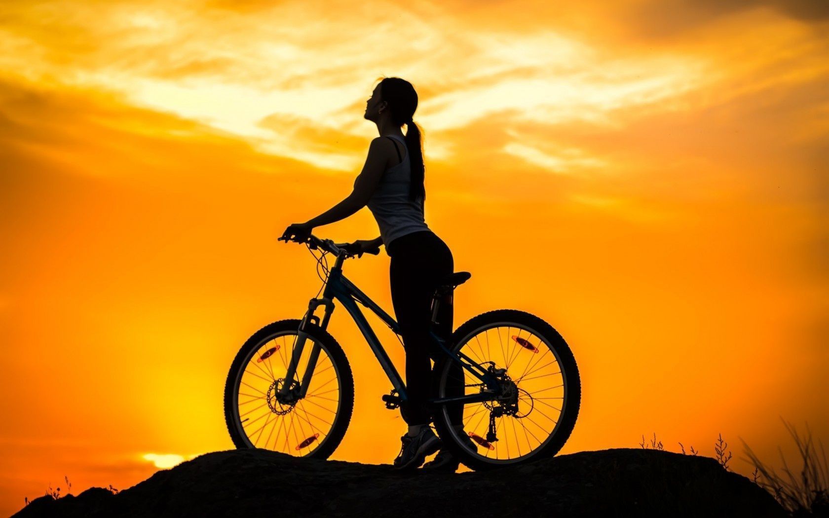 Bicycle Alone Ride Hd Landscape Wallpapers