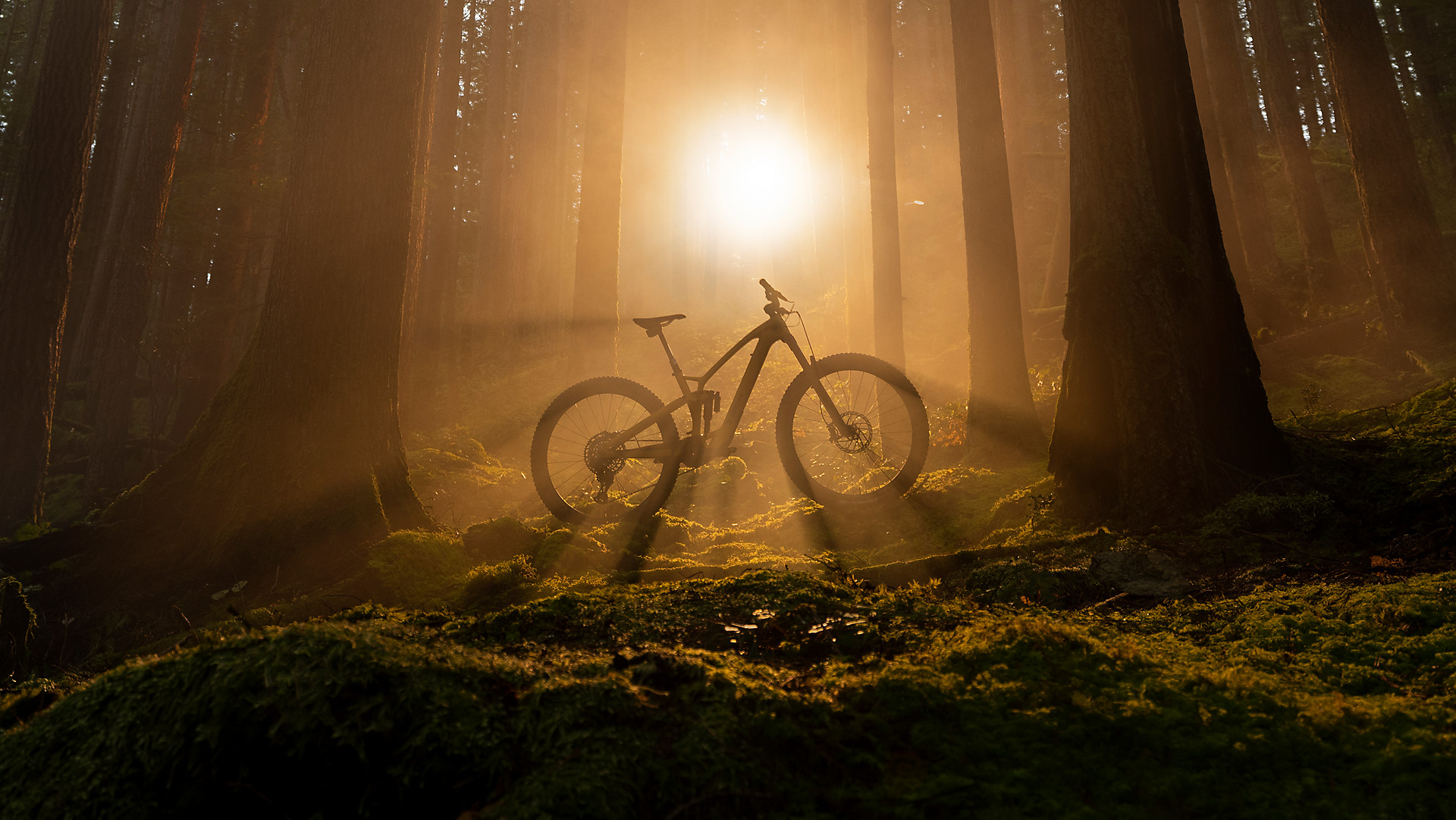 Bicycle Alone Ride Hd Landscape Wallpapers