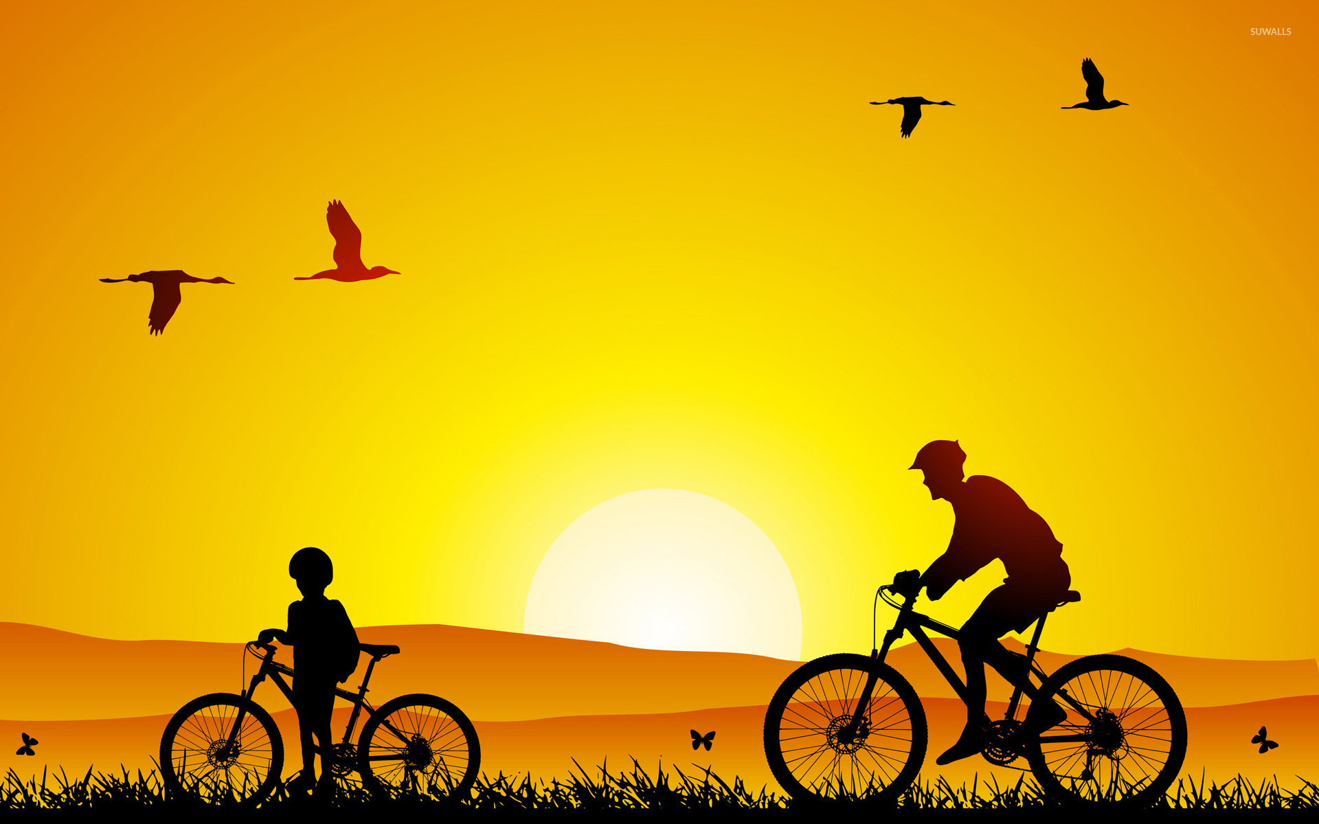 Bicycle Alone Ride Hd Landscape Wallpapers