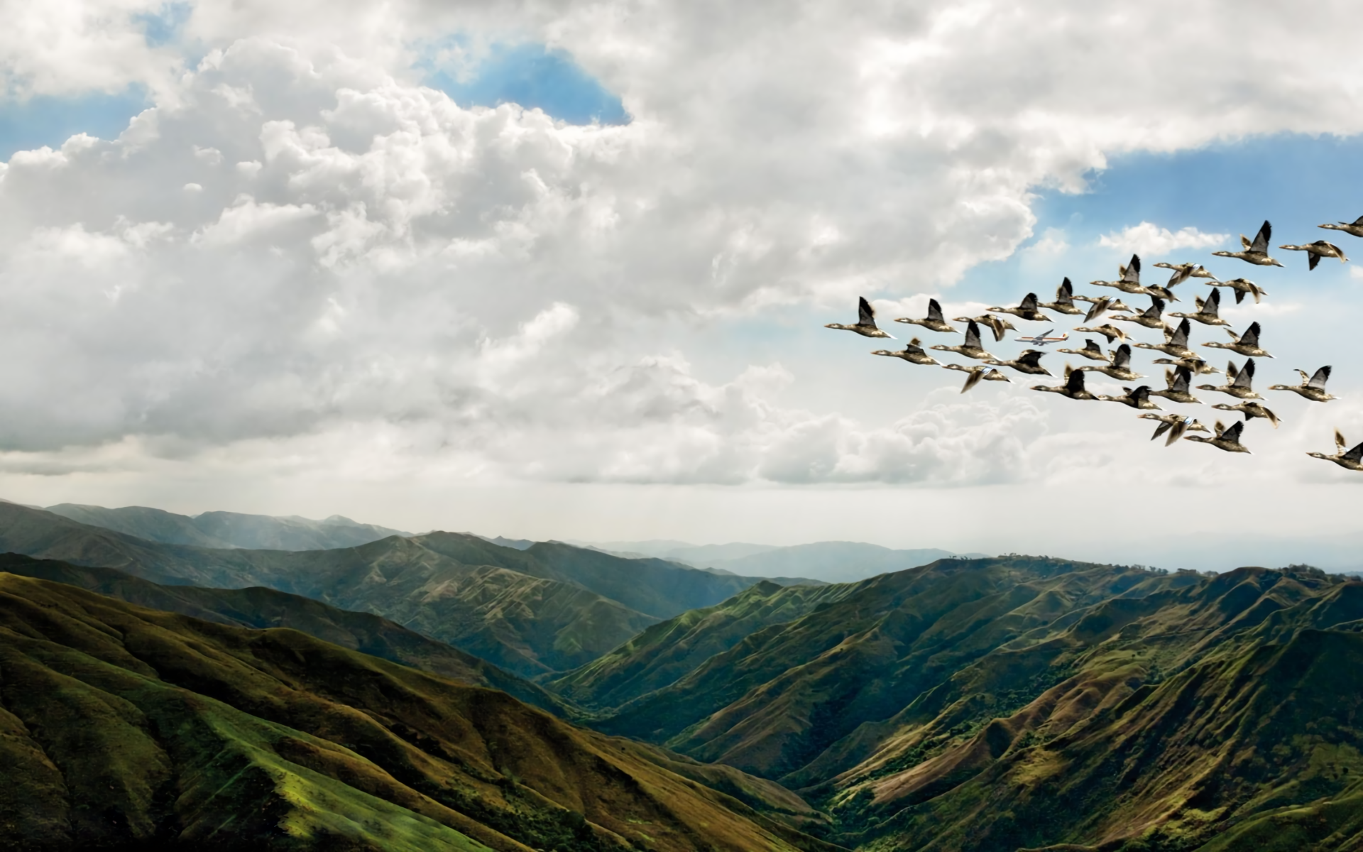 Birds Flying Over Mountains Wallpapers