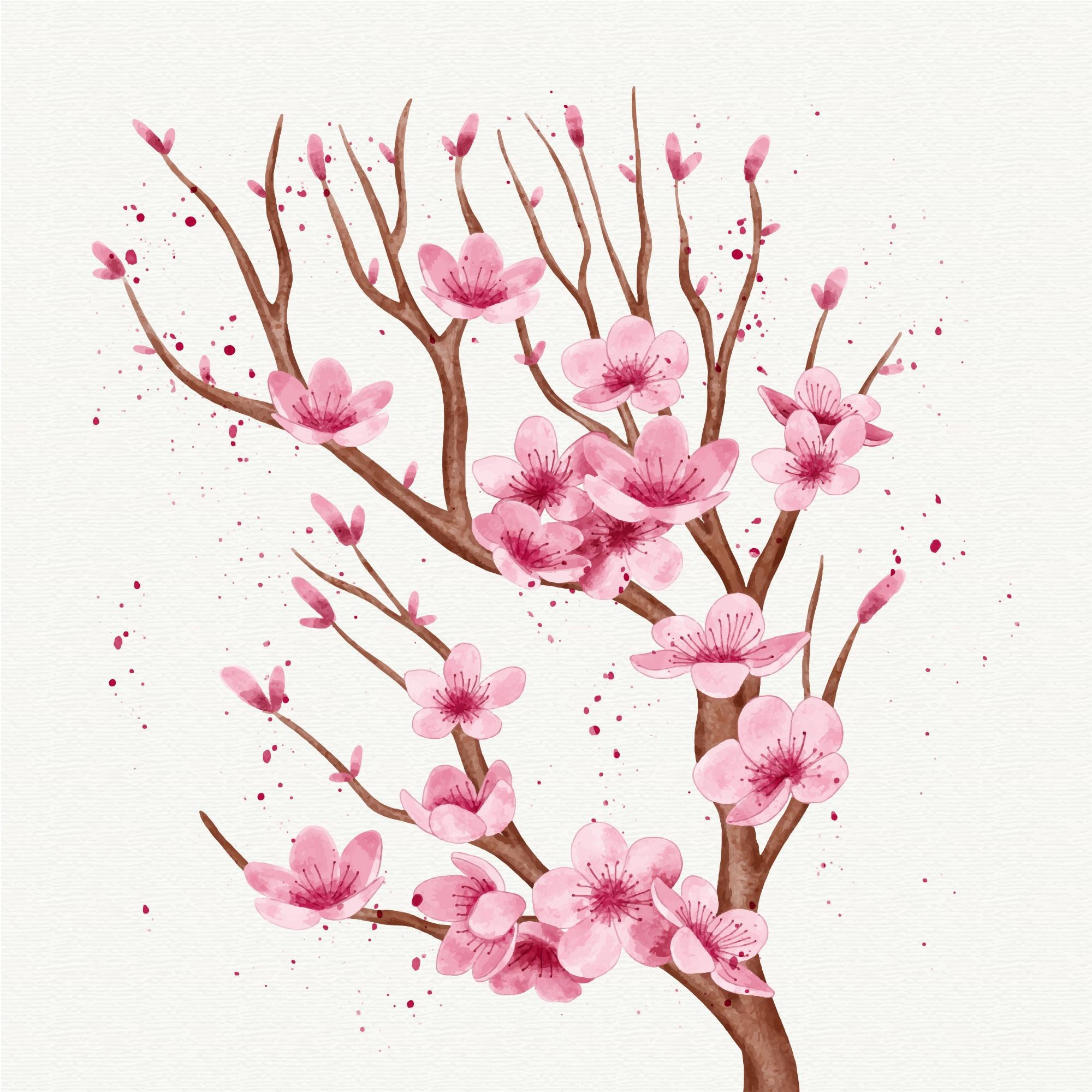 Blossom Artistic Path Wallpapers