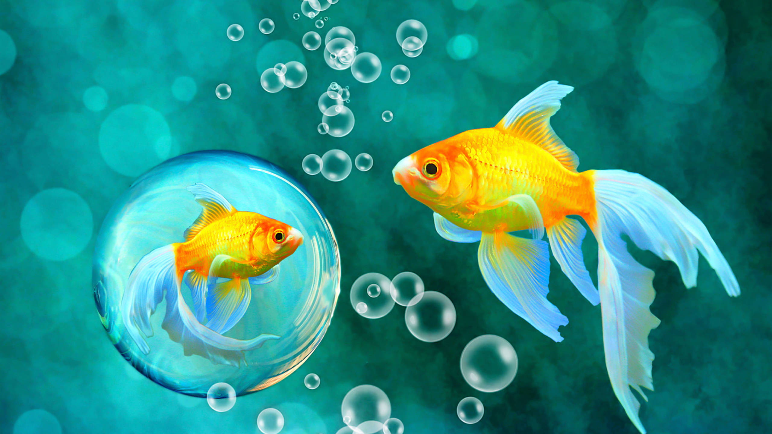 Bubble Art Wallpapers