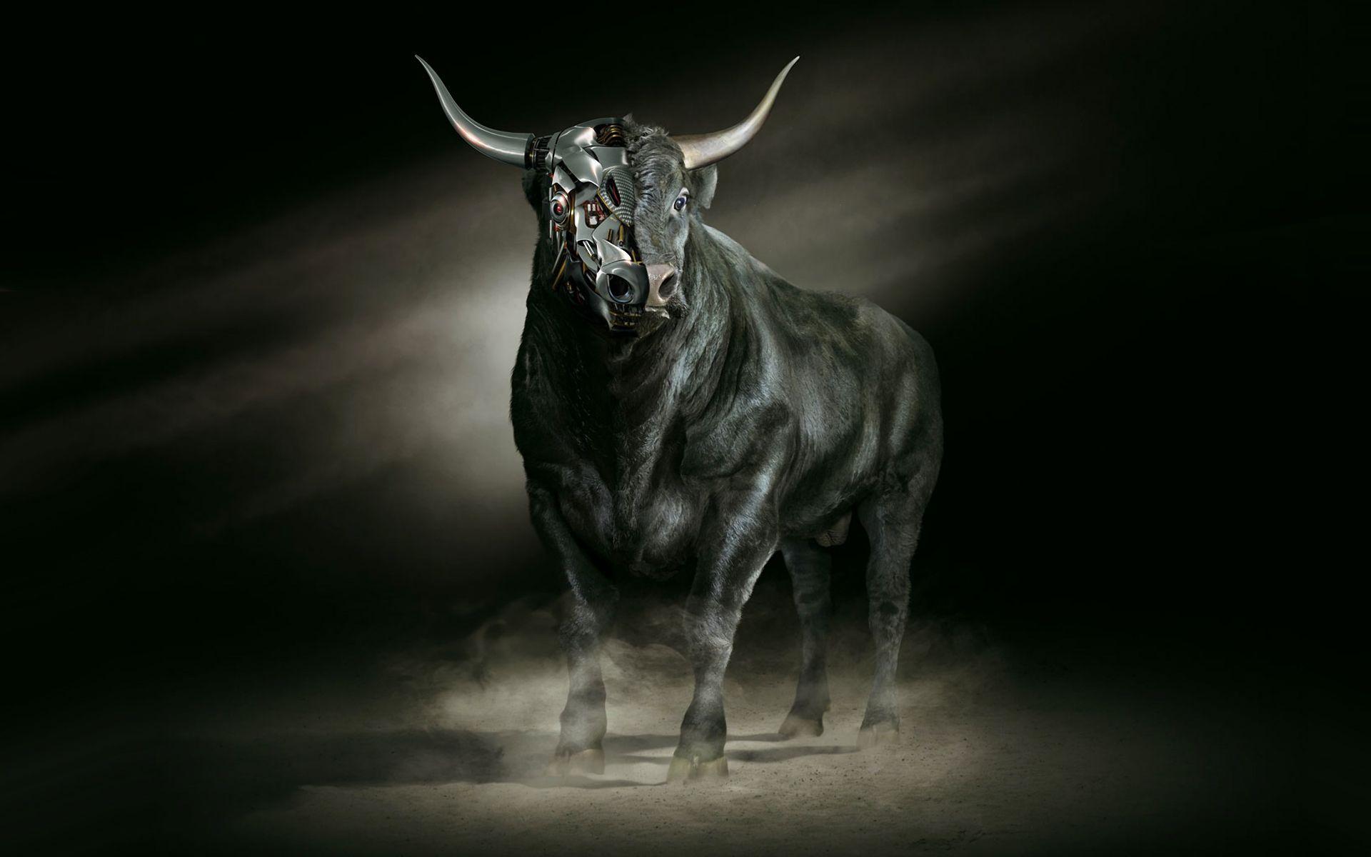 Bull Art Wallpapers