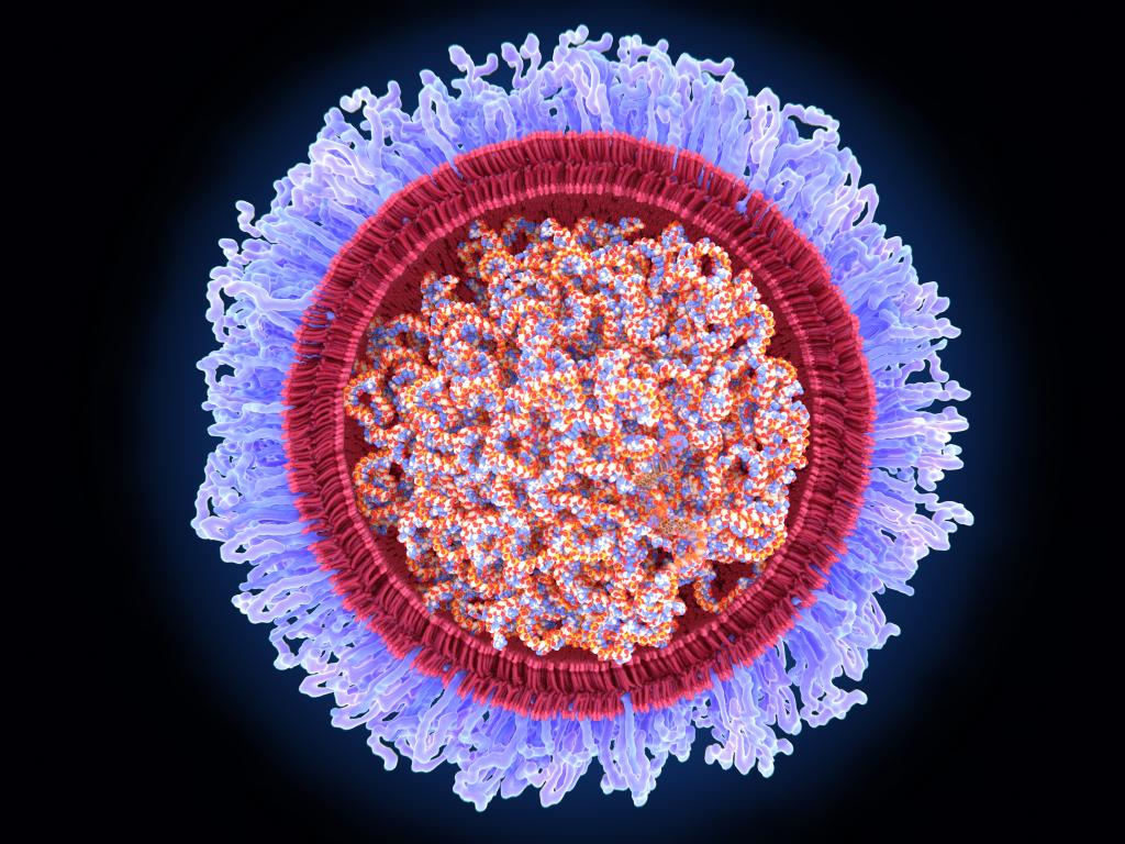 Covid 19 Virus Wallpapers