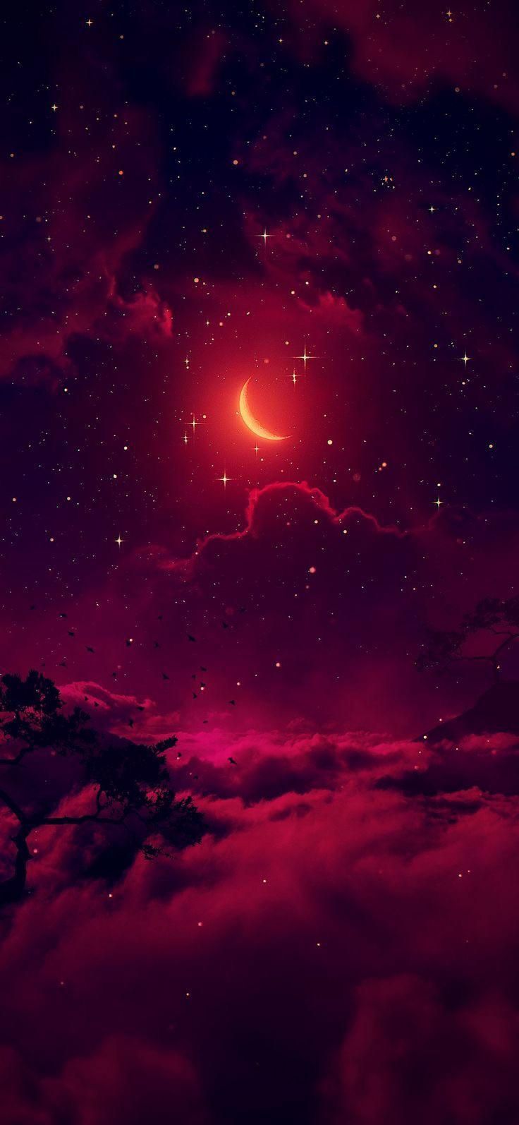 Crimson Night Wallpapers