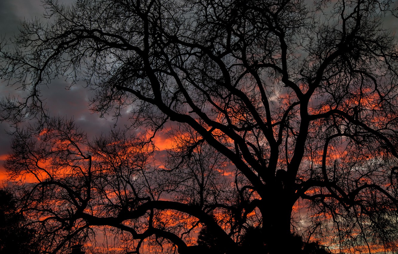 Dark Sunset Clouds Wallpapers