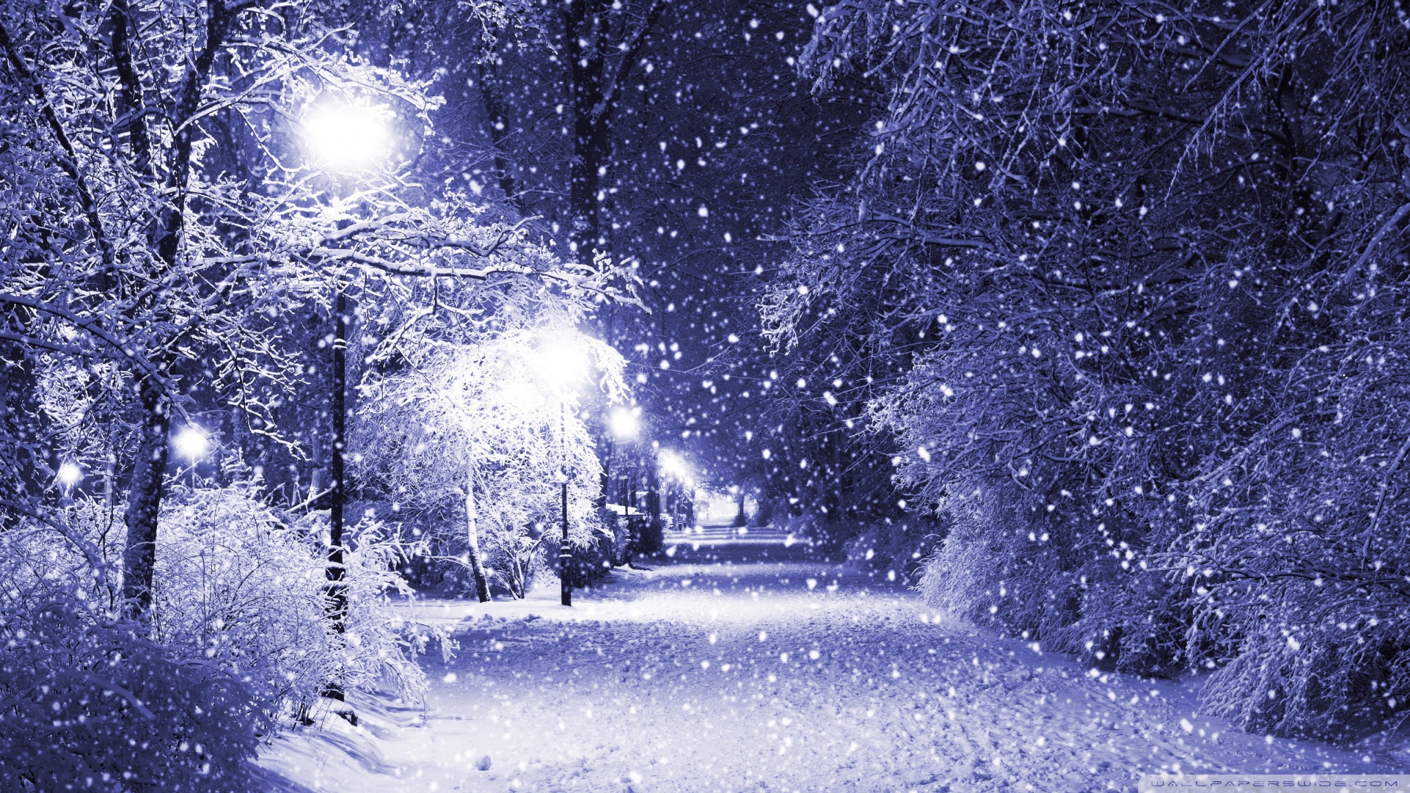 December Night Wallpapers