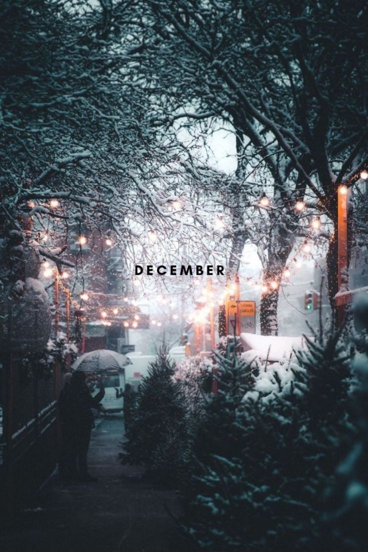 December Night Wallpapers