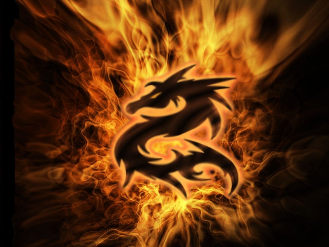 Dragon Burning Flames Wallpapers