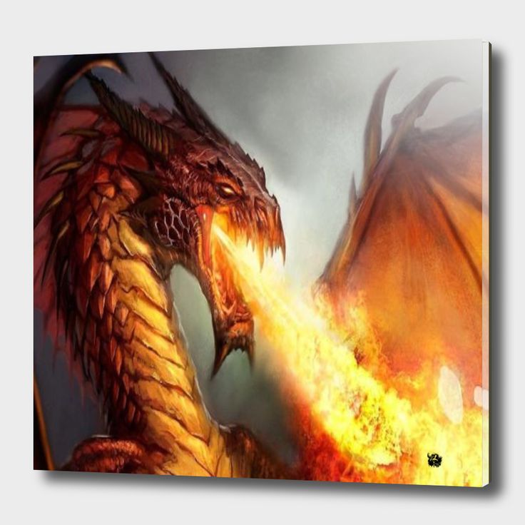 Dragon Throwing Fire Wallpapers