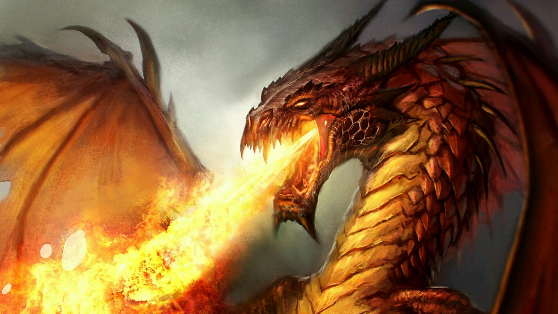 Dragon Throwing Fire Wallpapers