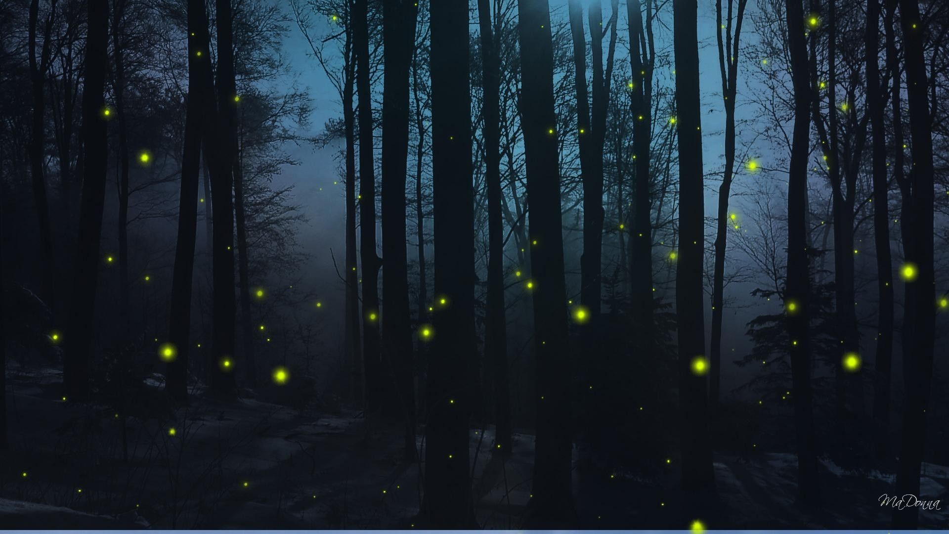 Fireflies Wallpapers