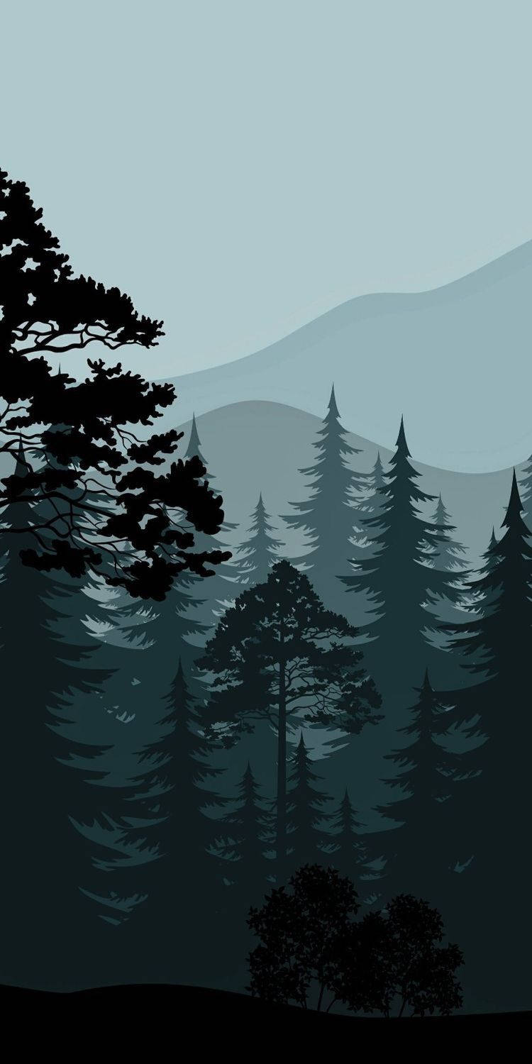 Forest Mountain Artistic Wallpapers