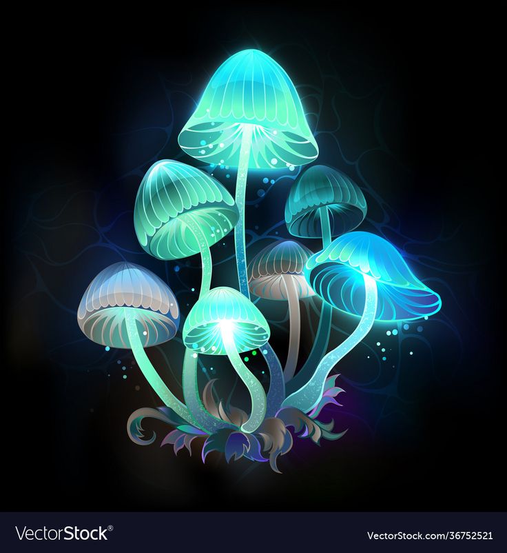 Glowing Mushroom Hd Wallpapers