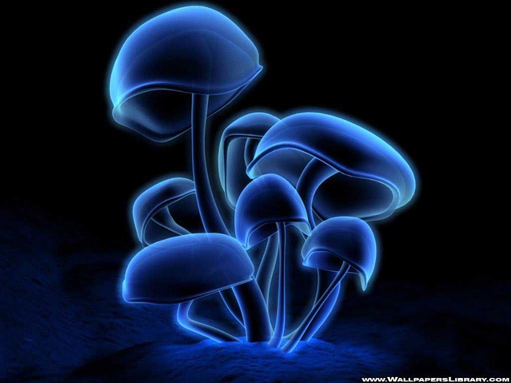 Glowing Mushroom Hd Wallpapers