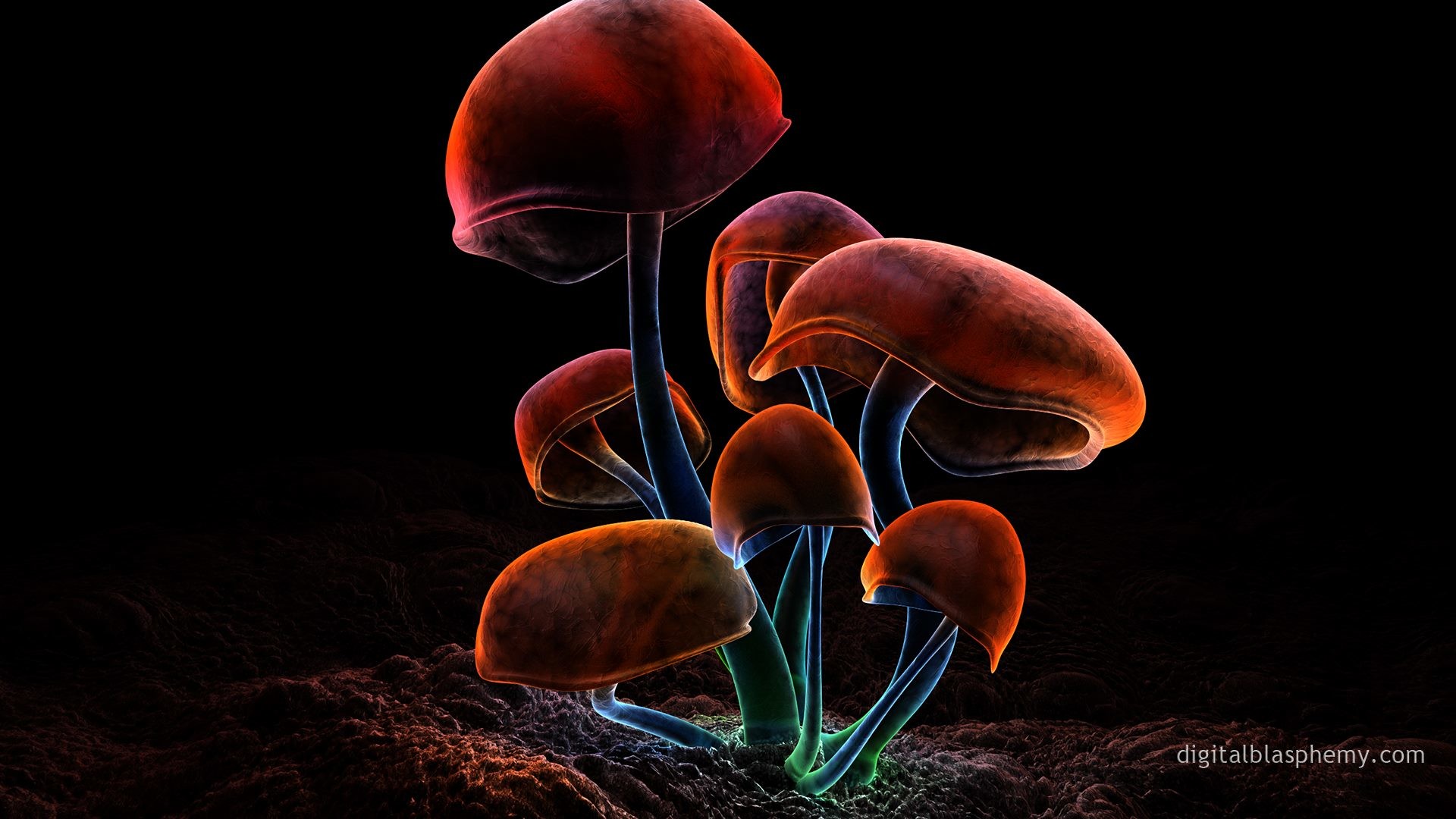 Glowing Mushroom Hd Wallpapers