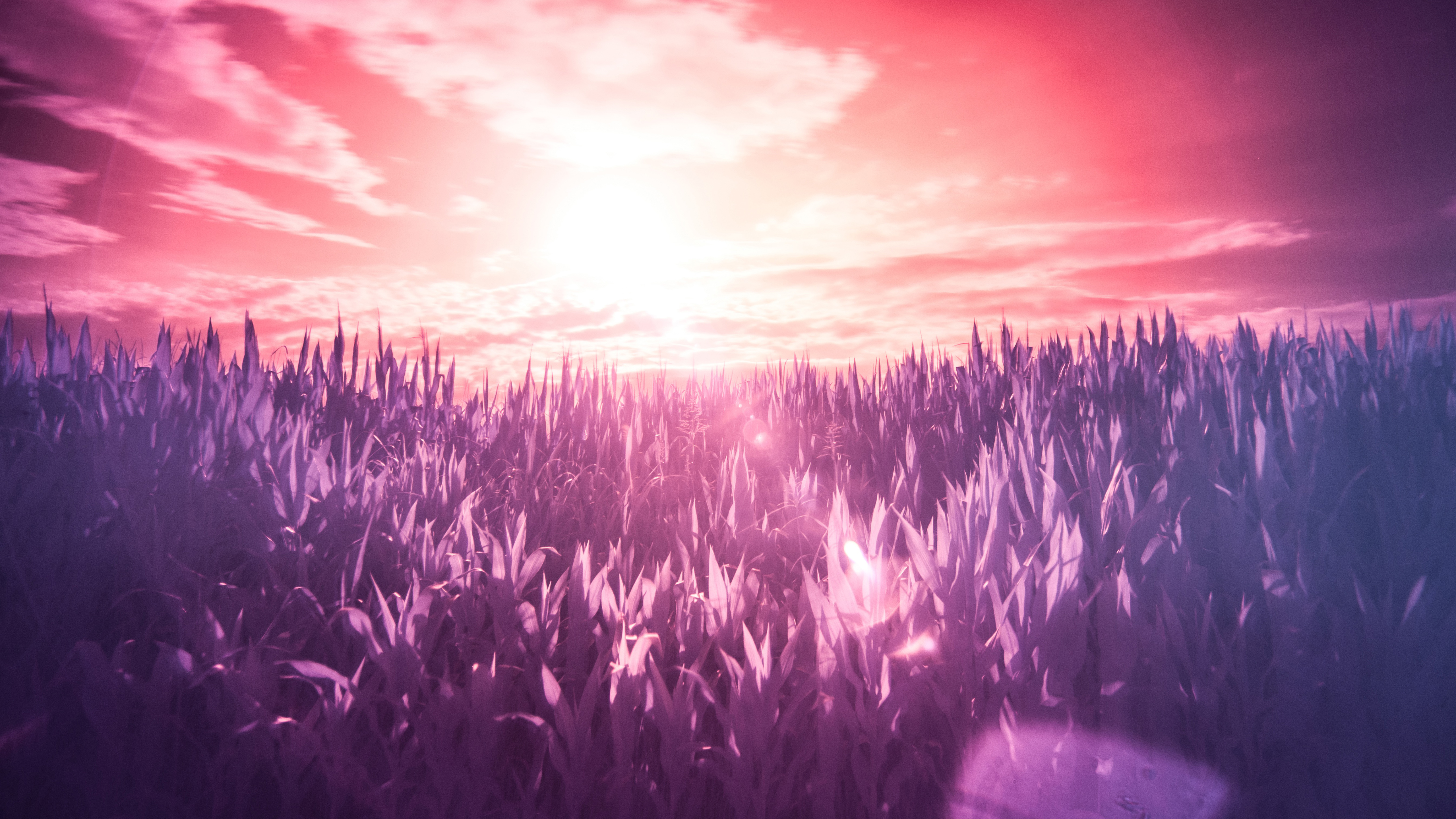 Gradient Sunset 5K Wallpapers