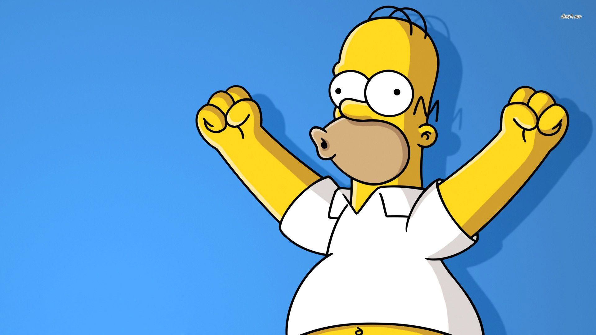 Homer Simpson As Tiger King Wallpapers