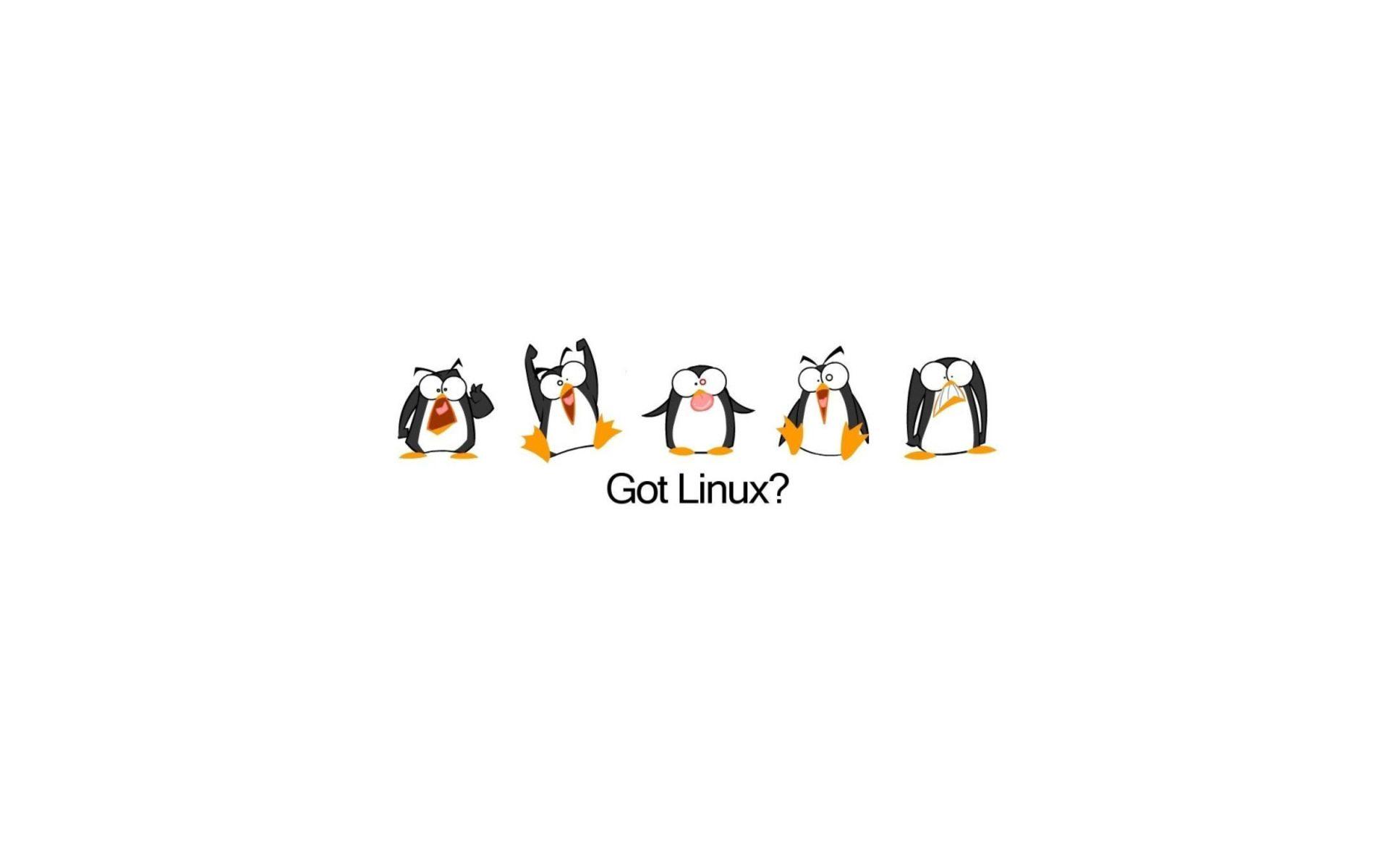 Linux Developer Wallpapers