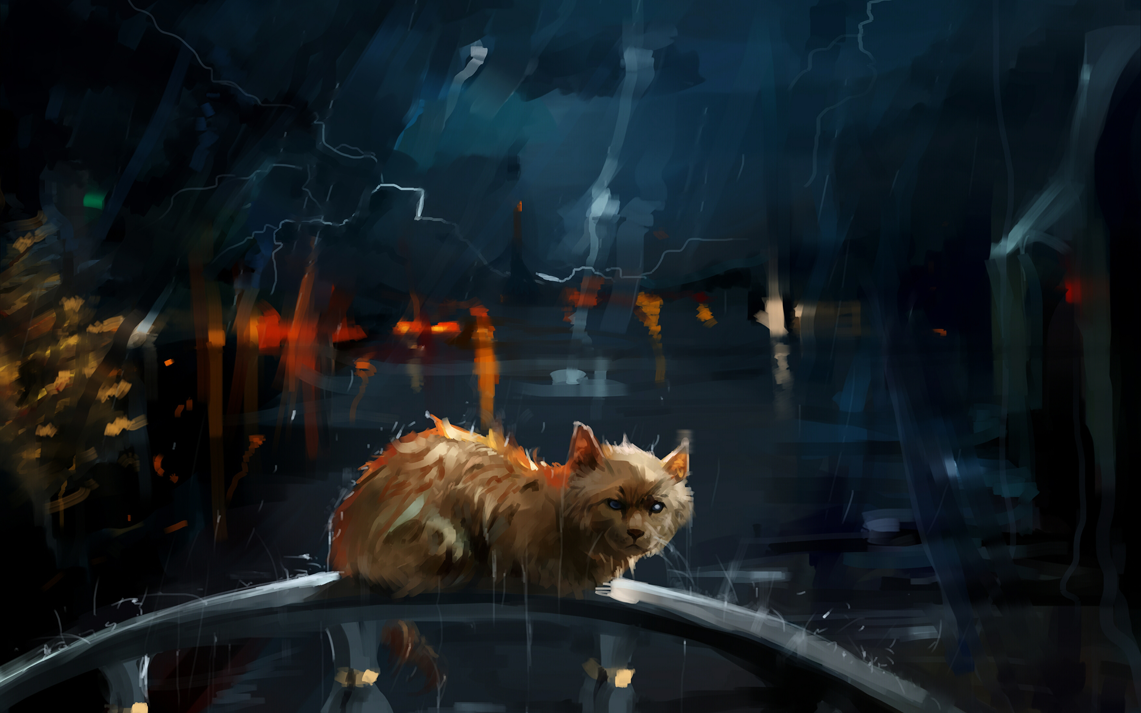 Lonely Cat In Rain 4K Wallpapers