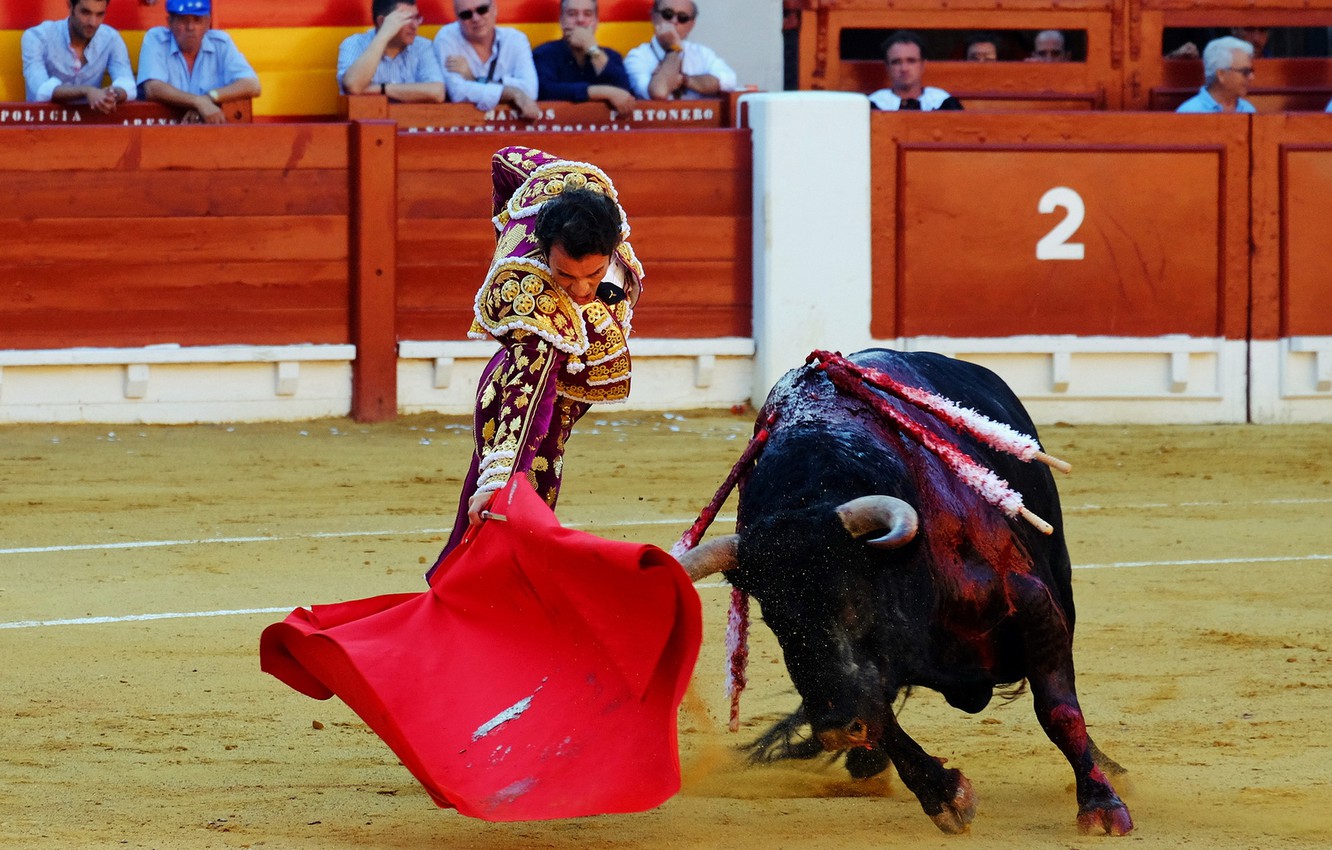 Matador Wallpapers